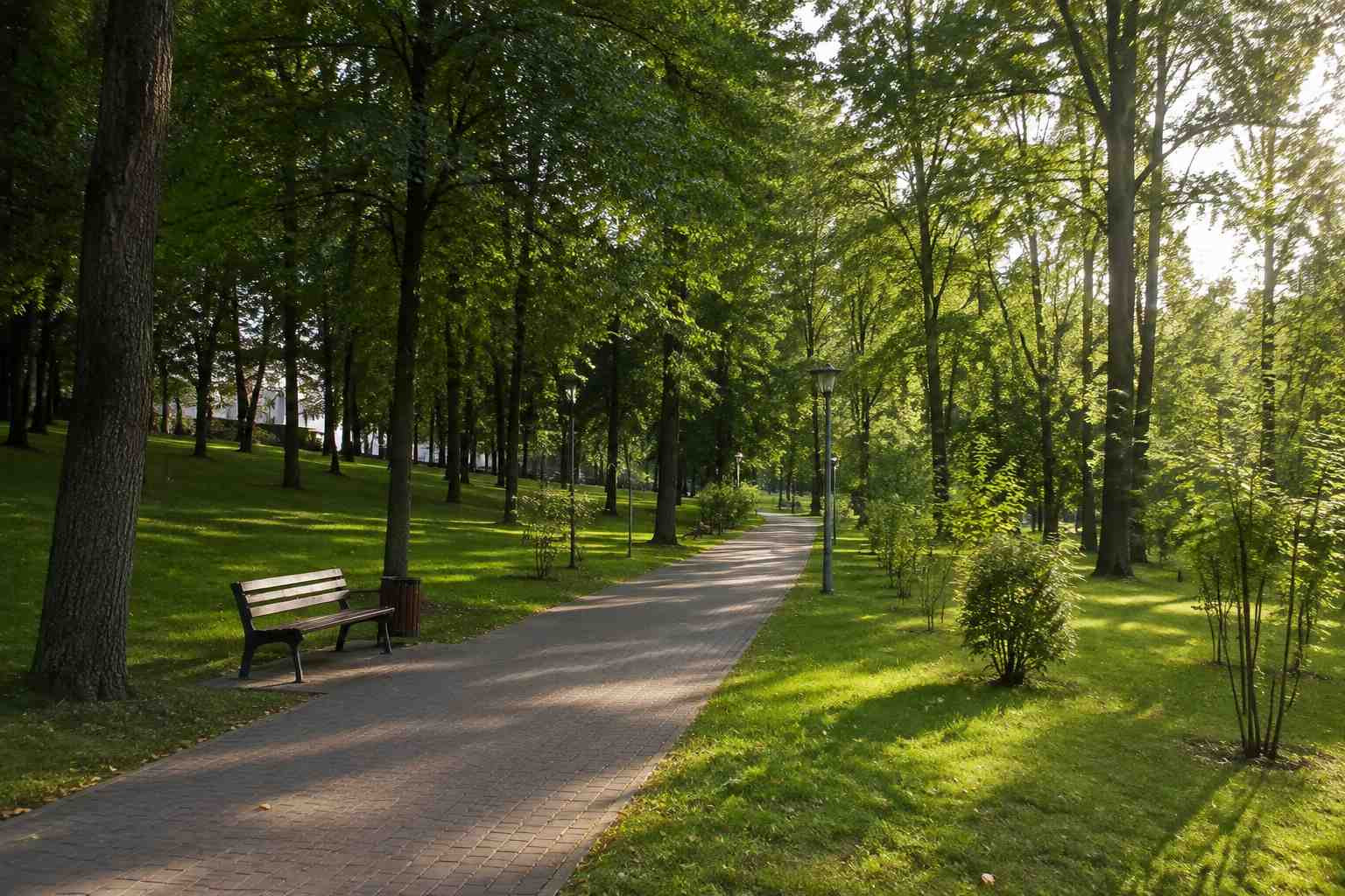 https://nizhnevartovsk.blago-s.ru/storage/app/uploads/public/6a7/eef/ed2/6a7eefed2af22038960370.jpg